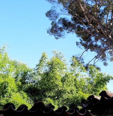 Bamboo Apartman بورتوروز المظهر الخارجي الصورة