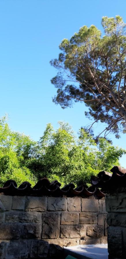 Bamboo Apartman بورتوروز المظهر الخارجي الصورة