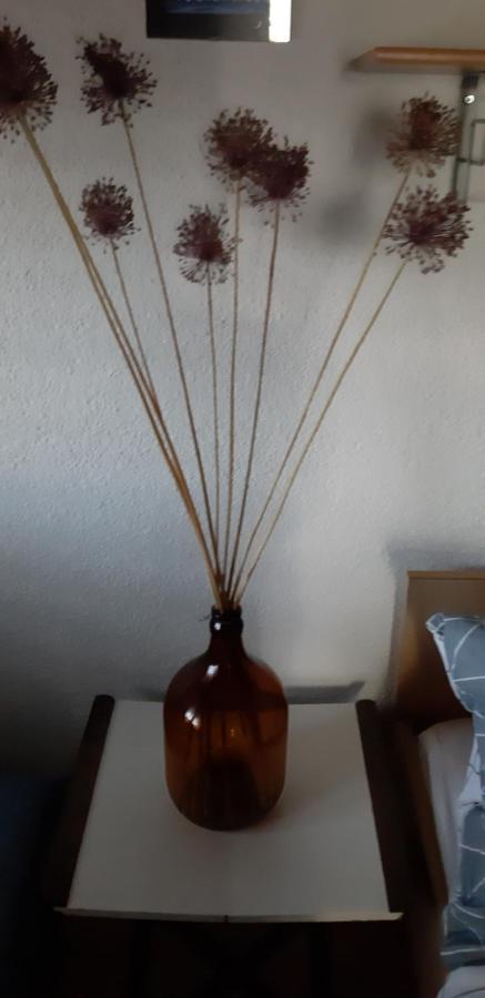 Bamboo Apartman بورتوروز المظهر الخارجي الصورة
